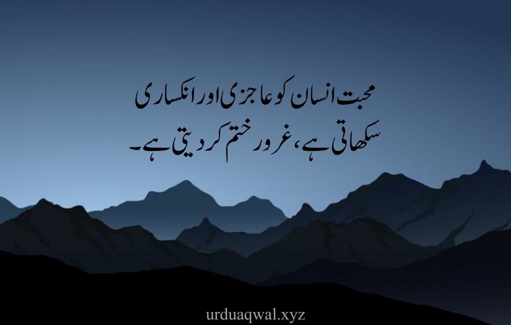 hazrat ali quotes in urdu about love