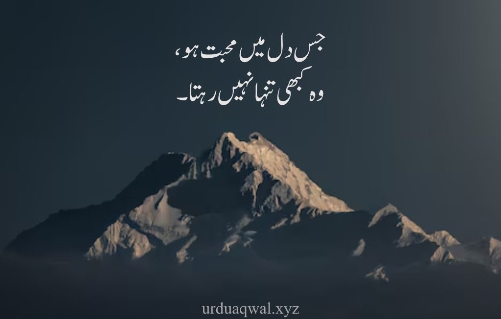 hazrat ali quotes in urdu about love