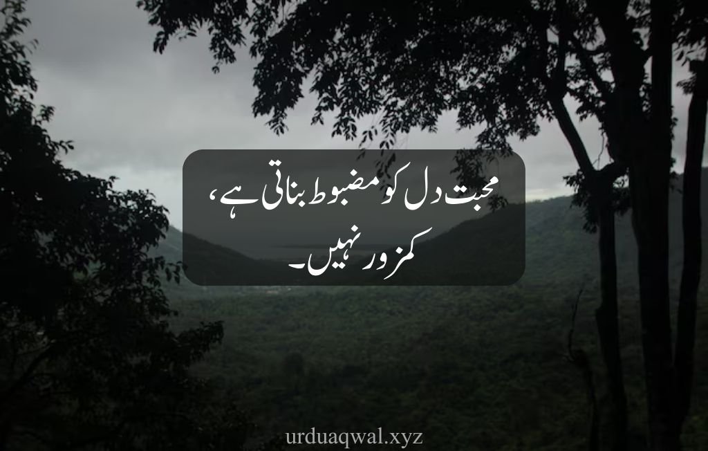 hazrat ali quotes in urdu about love