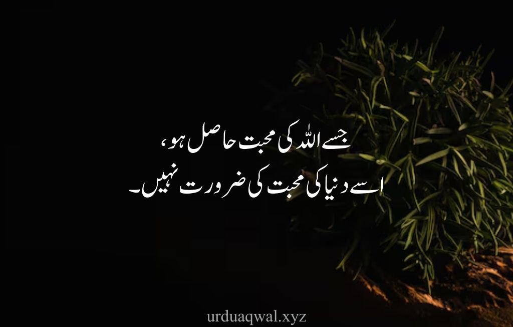 hazrat ali quotes in urdu about love