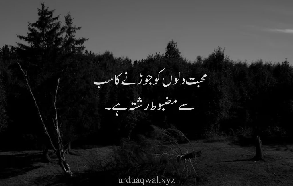 hazrat ali quotes in urdu about love