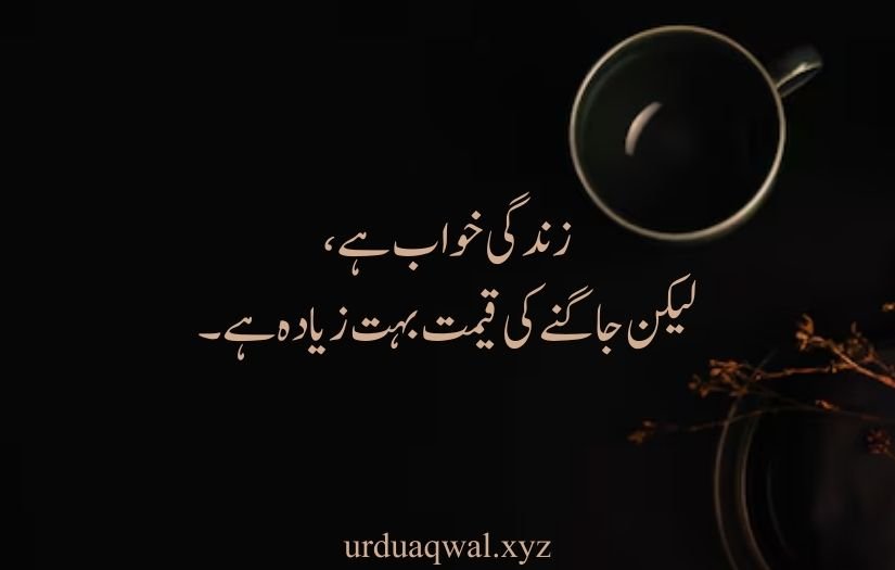 deep one line quotes in urdu