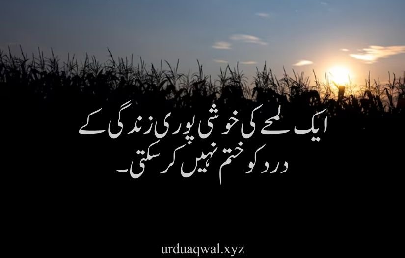 Heart touching one line quotes in urdu