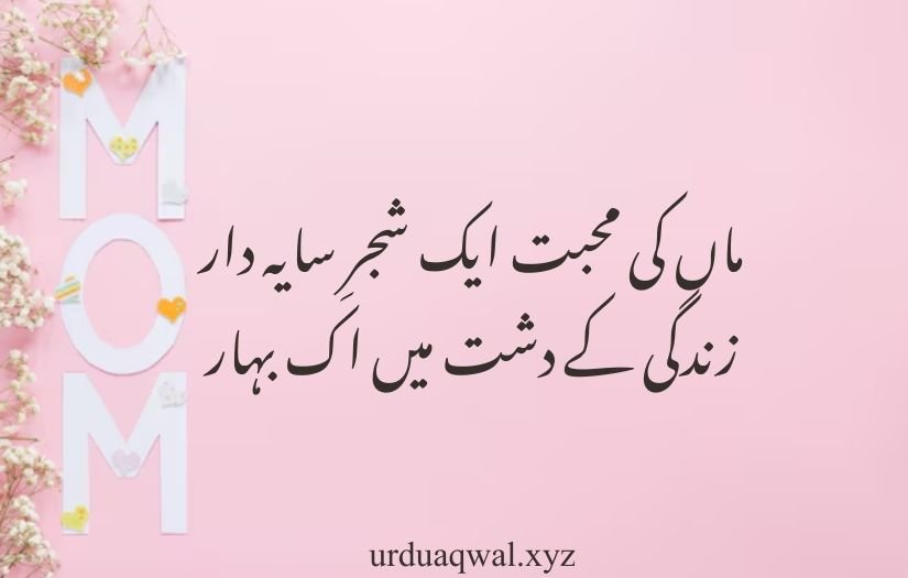 maa shayari in urdu 2 line