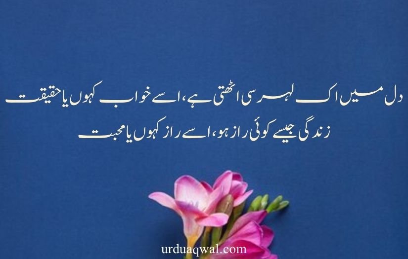 best 2 line quotes in urdu