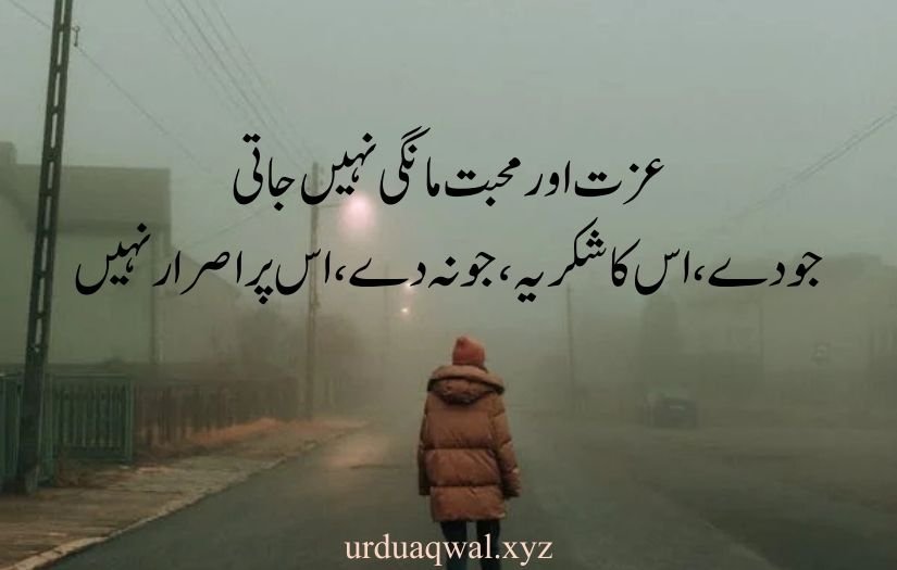 attitude quotes in urdu copy paste