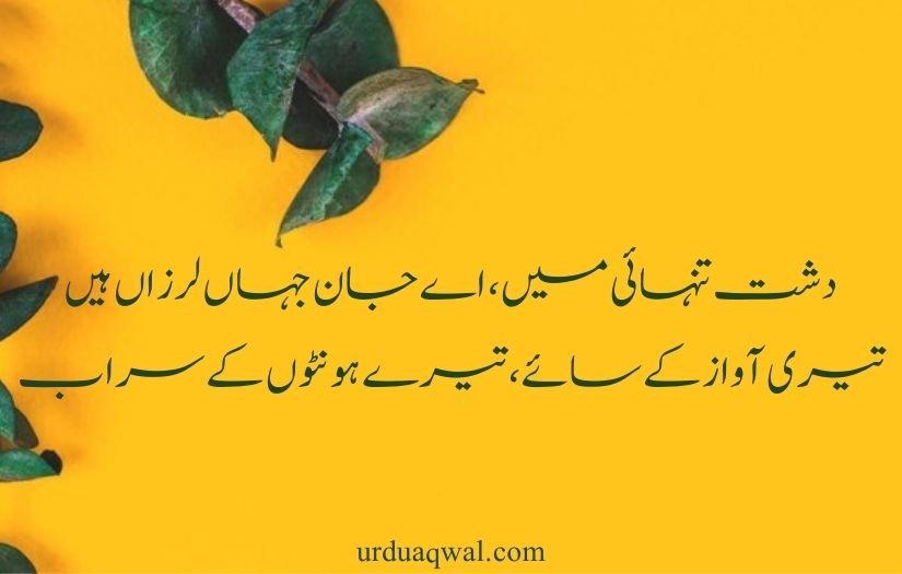 best 2 line quotes in urdu