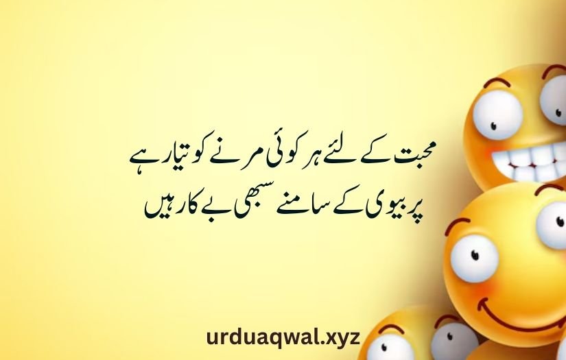 funny shayari in urdu 2 lines