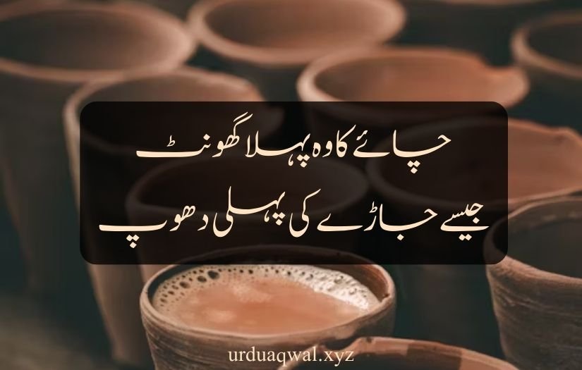 chai shayari urdu