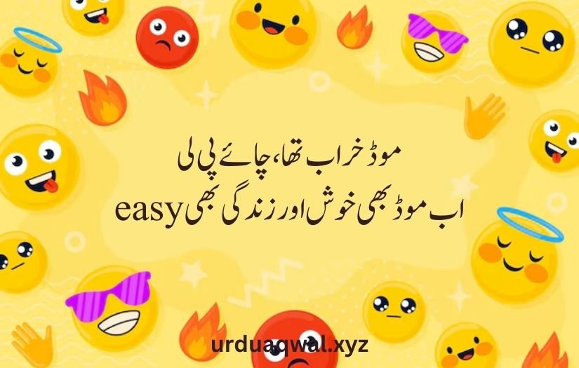 funny shayari in urdu 2 lines