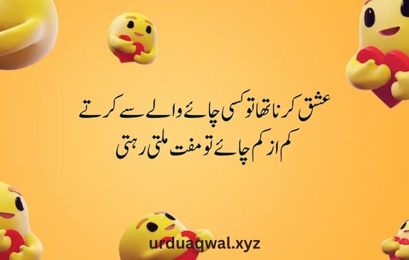 funny shayari in urdu 2 lines