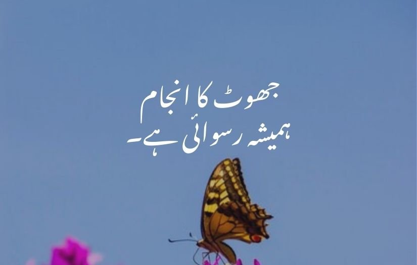 deep one line quotes in urdu