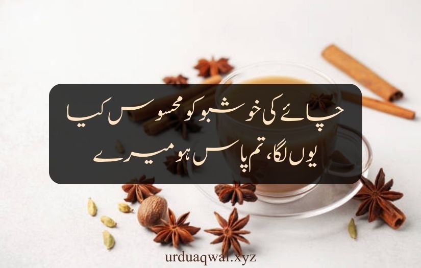 chai shayari urdu