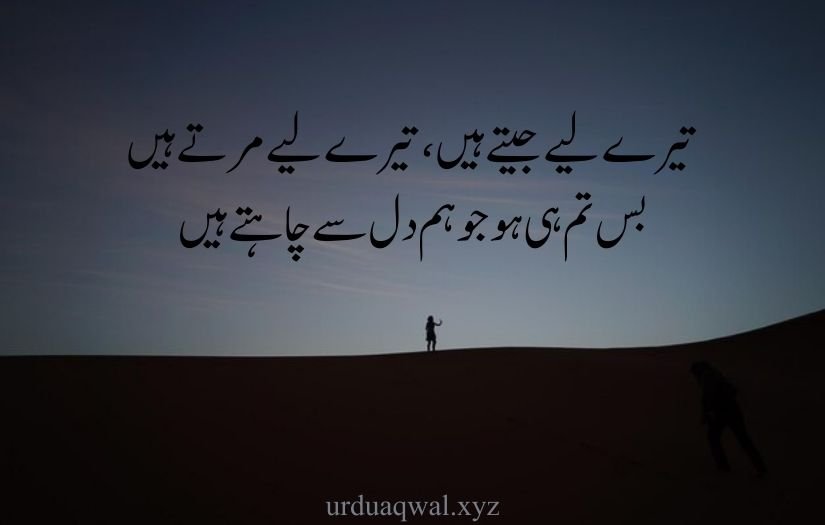 Love shayari urdu sms