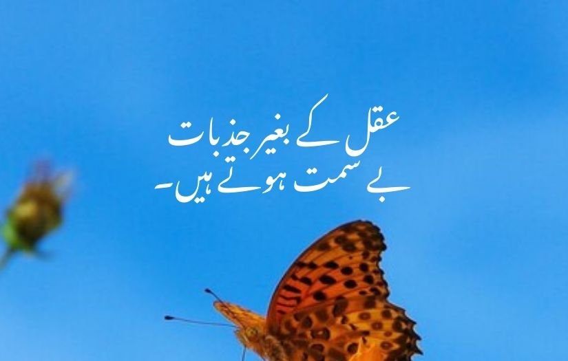 deep one line quotes in urdu