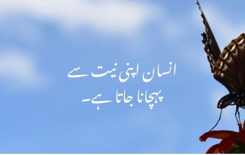 deep one line quotes in urdu