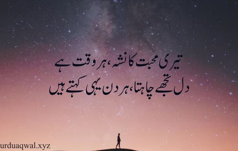 Love shayari urdu sms