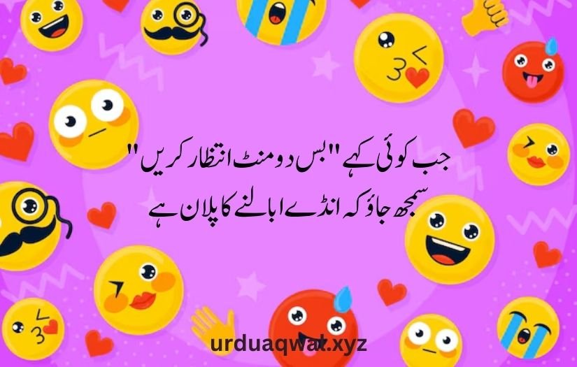 funny shayari in urdu 2 lines