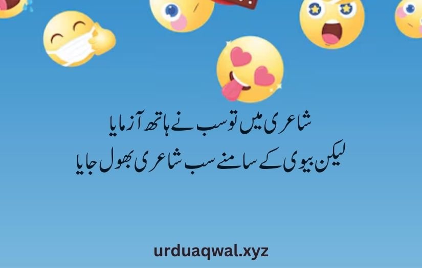 funny shayari in urdu 2 lines