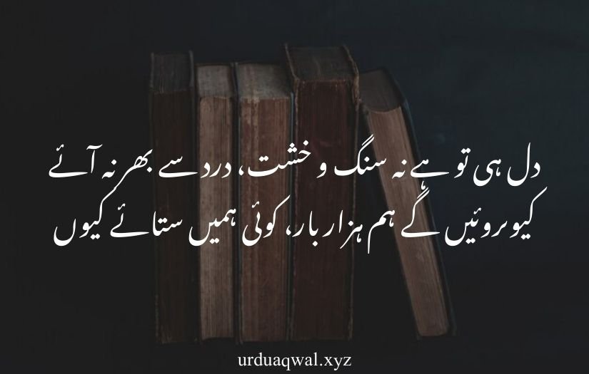 2 line urdu shayari