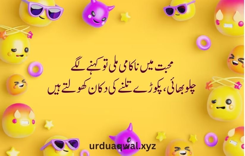 funny shayari in urdu 2 lines