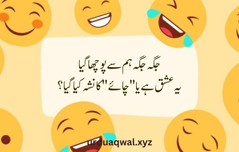 funny shayari in urdu 2 lines