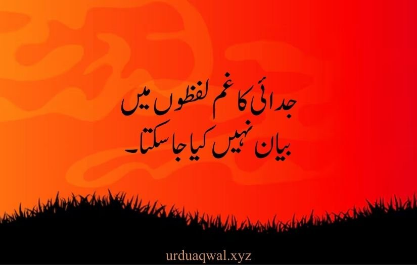 Heart touching one line quotes in urdu