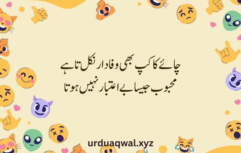 funny shayari in urdu 2 lines