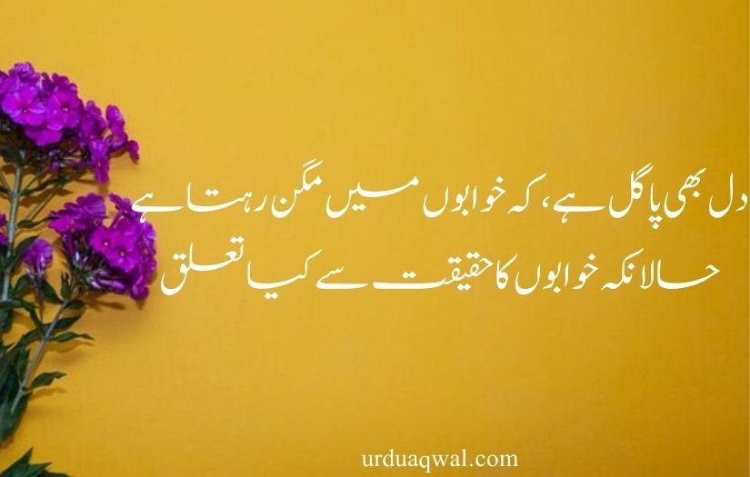 best 2 line quotes in urdu