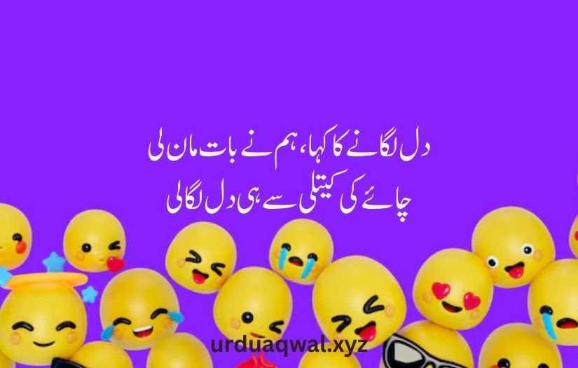 funny shayari in urdu 2 lines