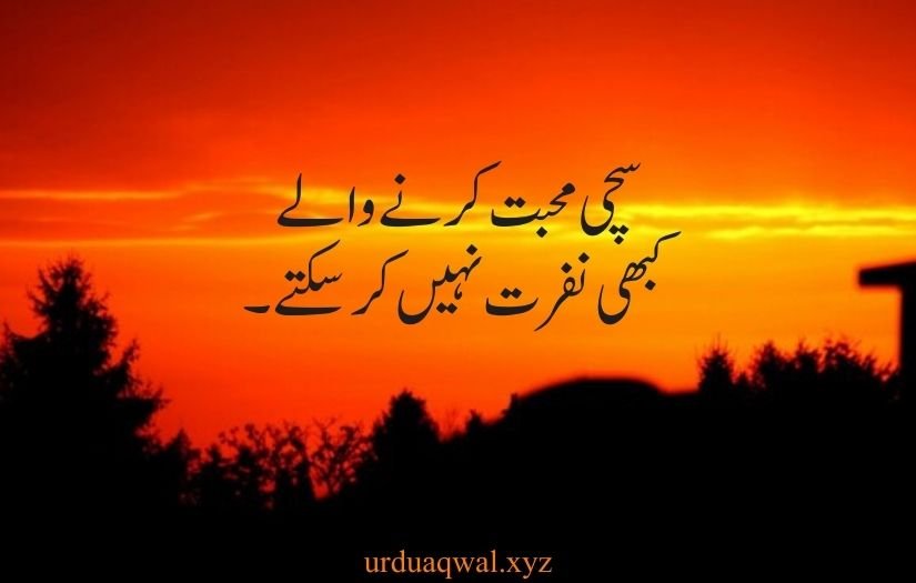 Heart touching one line quotes in urdu