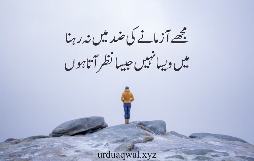 attitude quotes in urdu copy paste