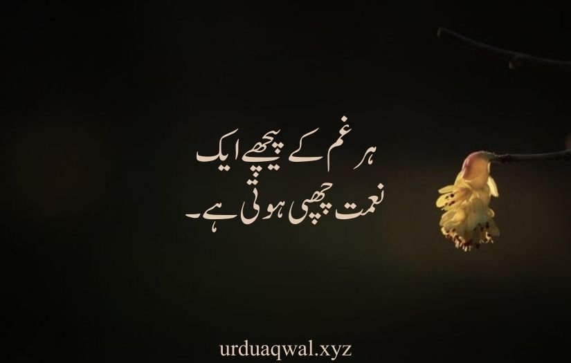 deep one line quotes in urdu