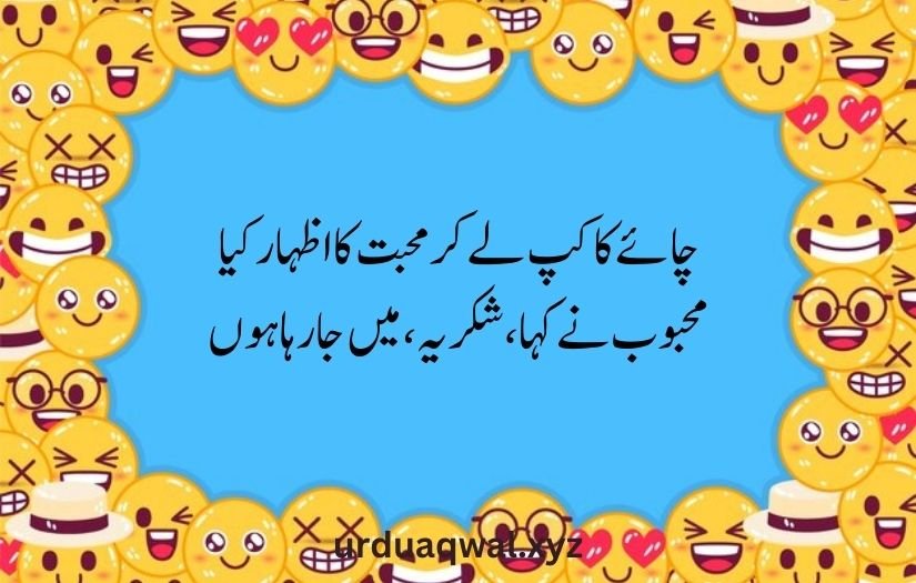 funny shayari in urdu 2 lines