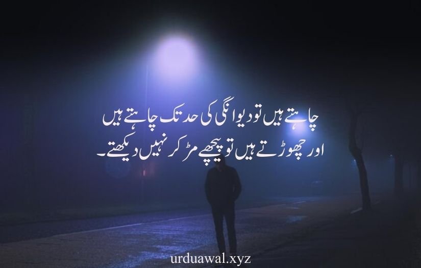 shayari in urdu attitude