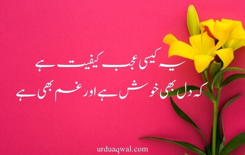 best 2 line quotes in urdu