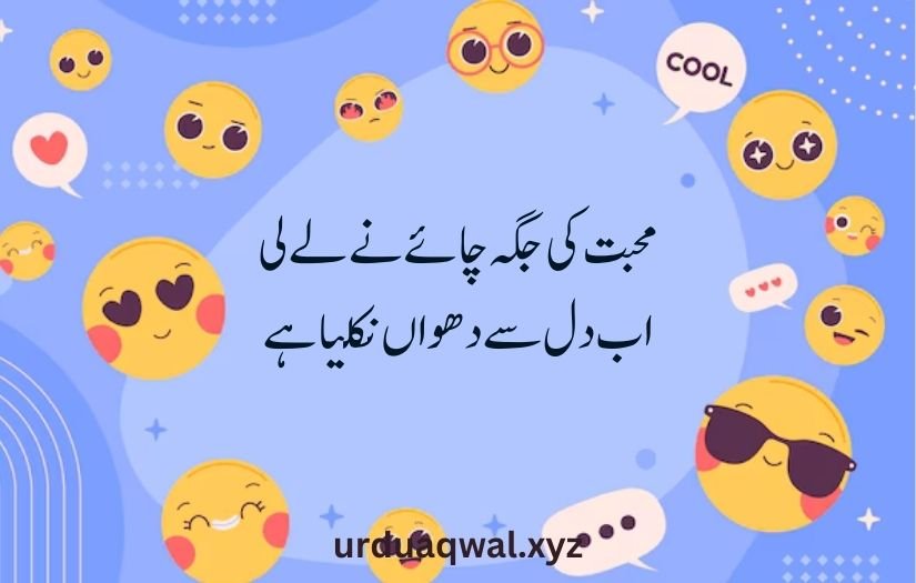 funny shayari in urdu 2 lines