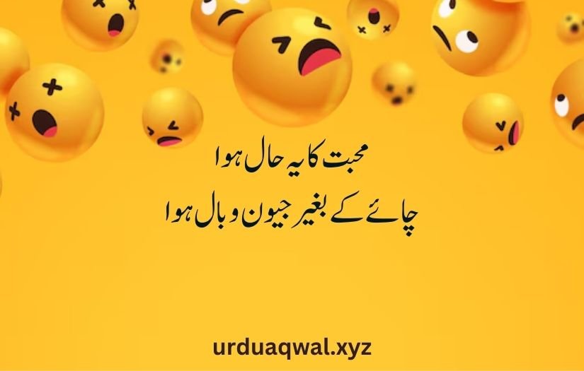 funny shayari in urdu 2 lines