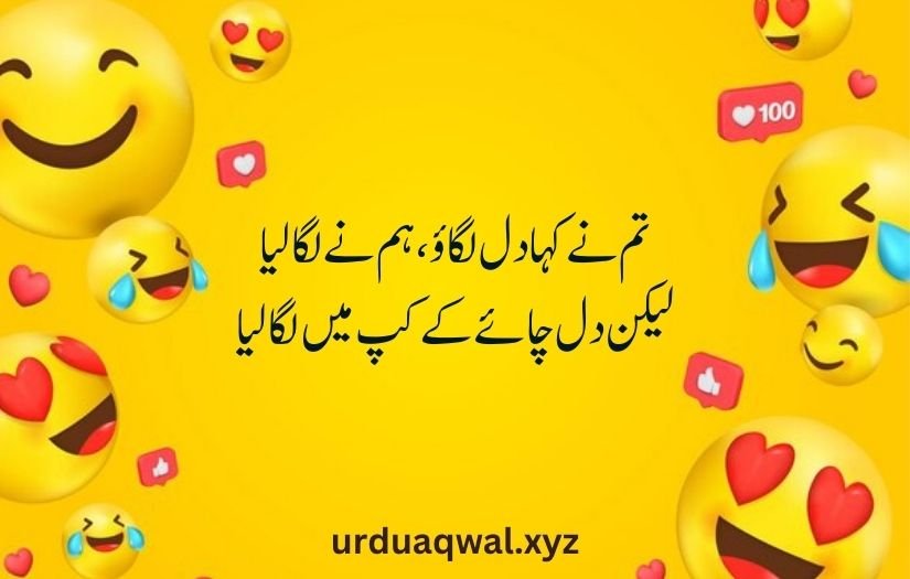 funny shayari in urdu 2 lines