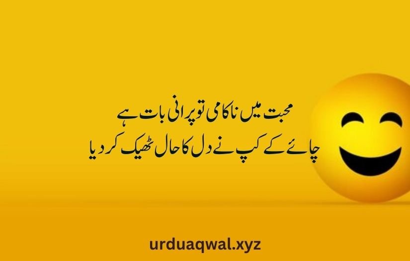 funny shayari in urdu 2 lines