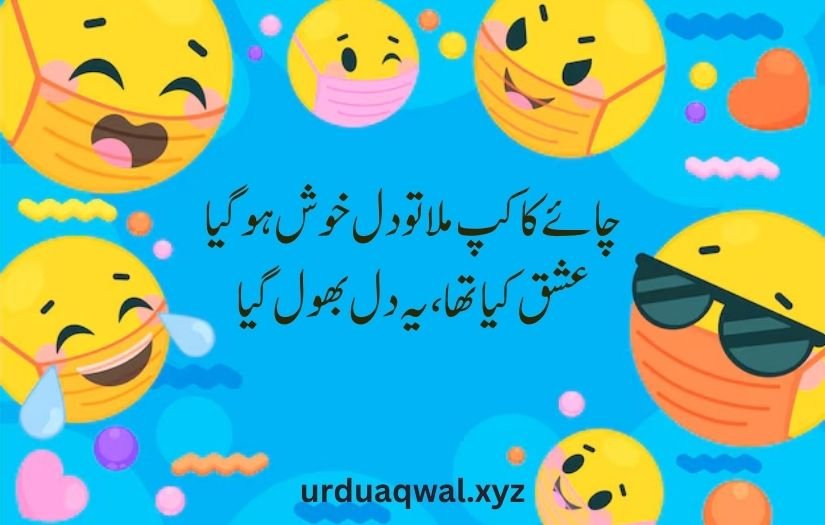 funny shayari in urdu 2 lines