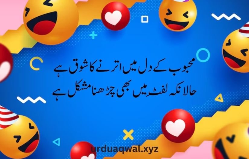 funny shayari in urdu 2 lines