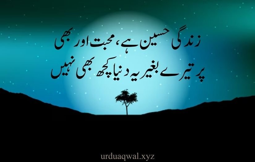 Love shayari urdu sms