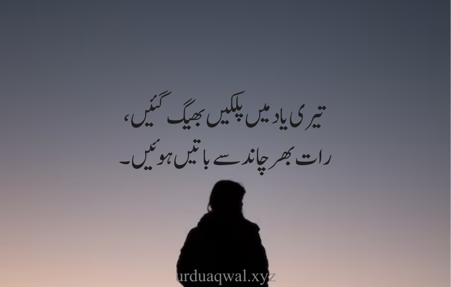 yaad poetry in urdu 2 lines