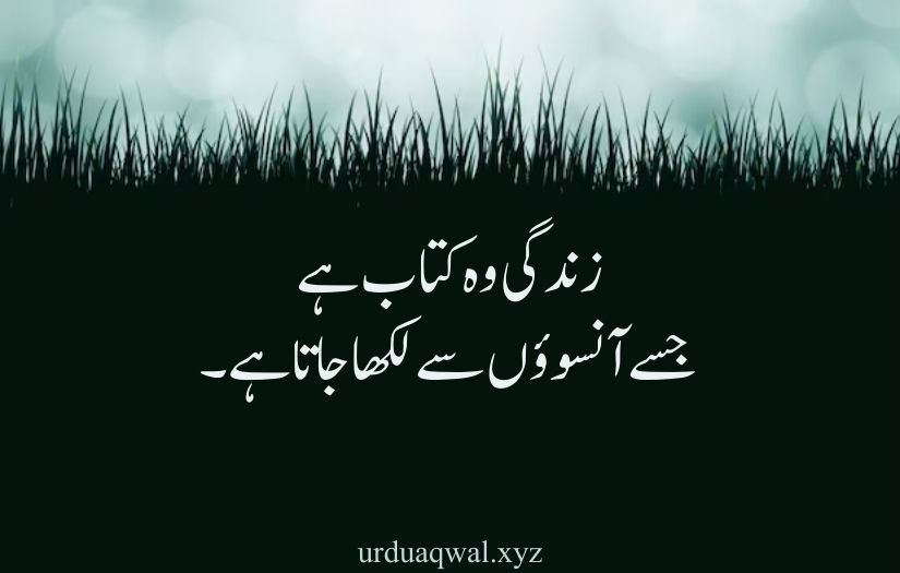 Heart touching one line quotes in urdu