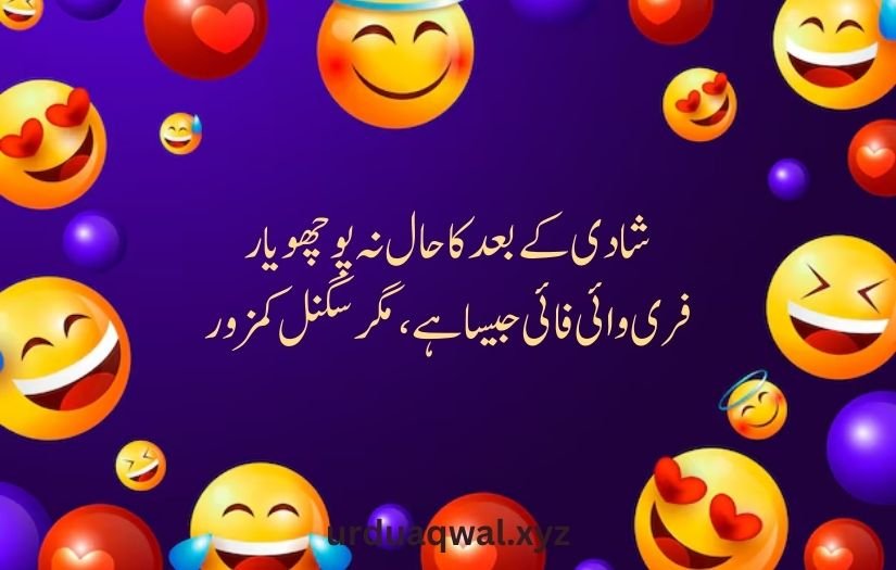 funny shayari in urdu 2 lines