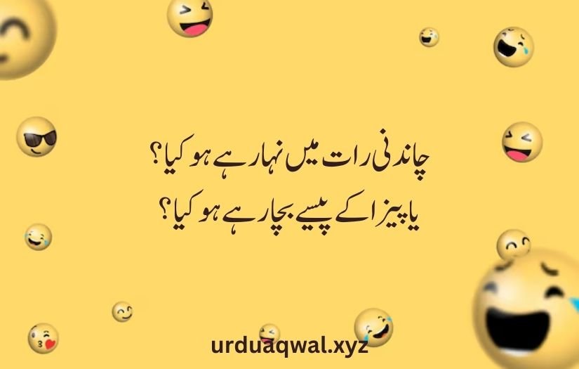 funny shayari in urdu 2 lines