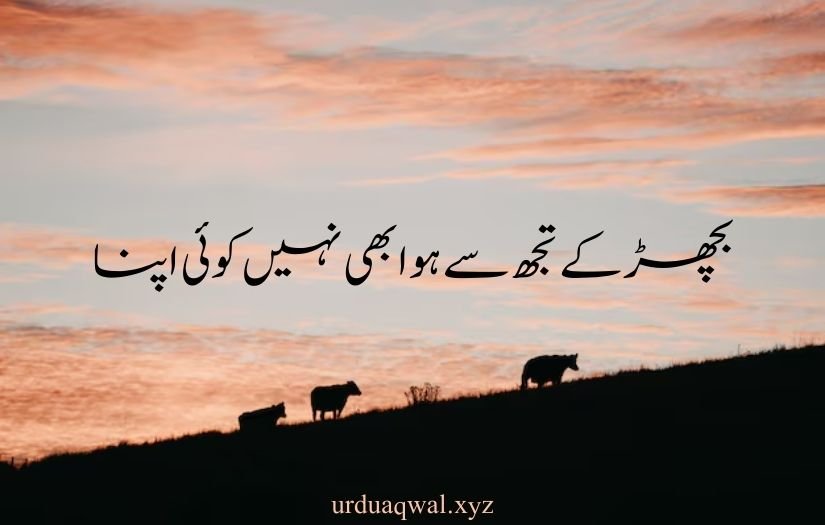 one line quotes in urdu