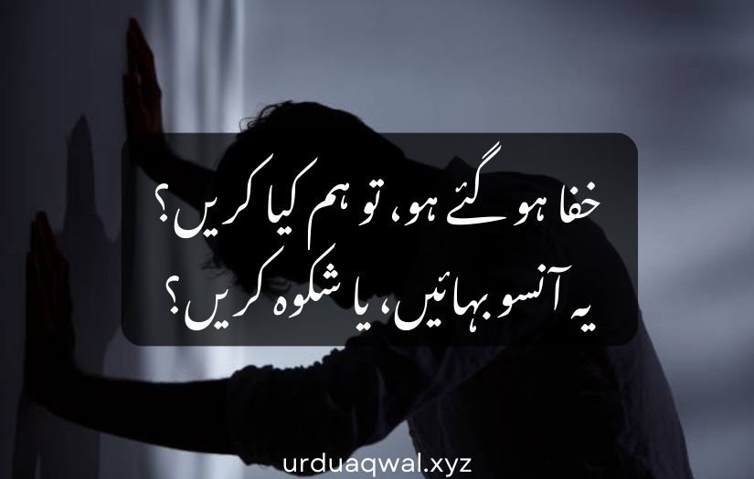 narazgi shayari