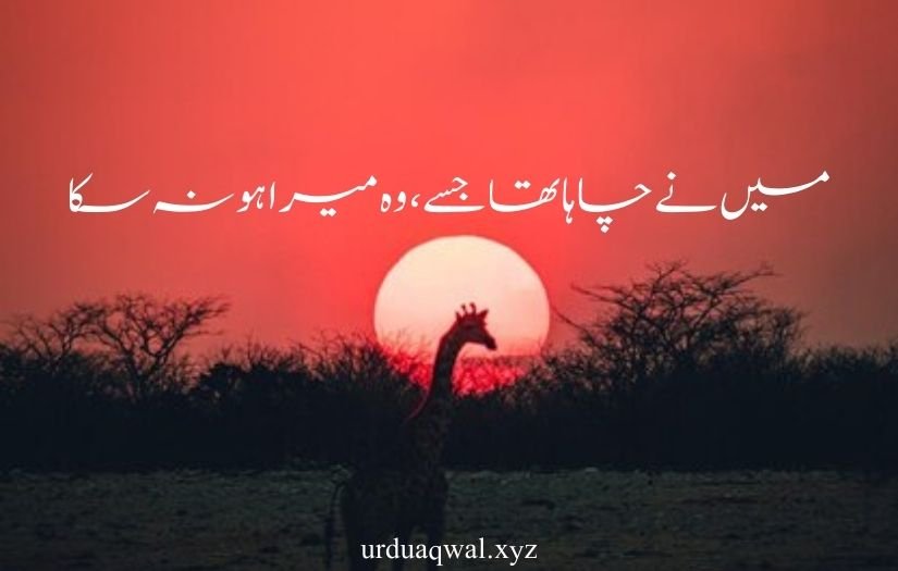 one line quotes in urdu